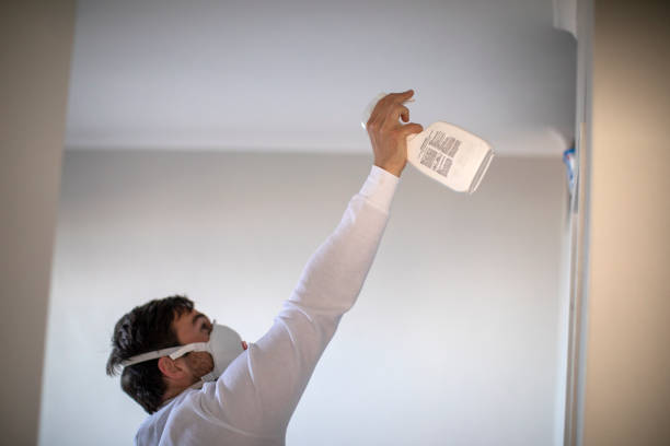 Best Attic Mold Removal  in Woodlawn, OH