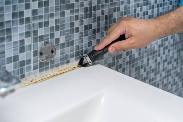 Best Home Mold Removal  in Woodlawn, OH